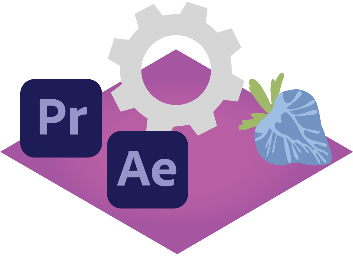 01a integrations adobe